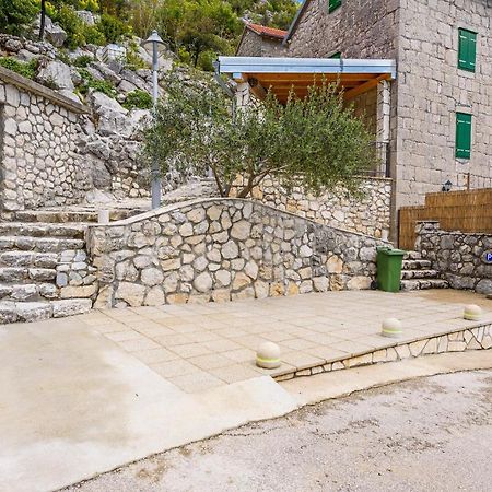 Villa Lazini Dvori Stasevica Eksteriør billede