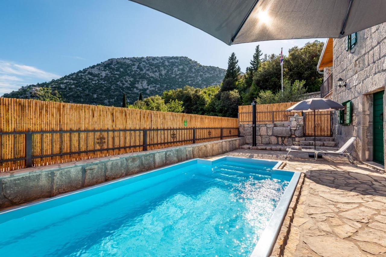 Villa Lazini Dvori Stasevica Eksteriør billede